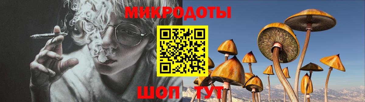 Псилоцибиновые грибы Psilocybine cubensis  Вход с VPN  Ржев 